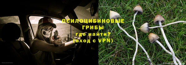 ECSTASY Алексин