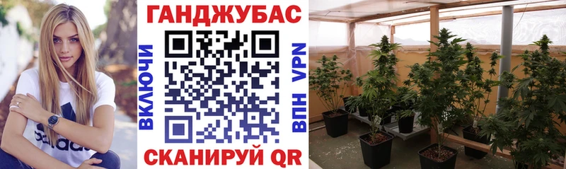 Конопля OG Kush Назрань